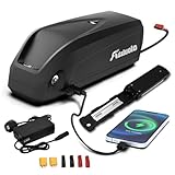 Adaluolo 48V Ebike Akku 20AH Hailong Ebike Batterie Elektrofahrrad Lithium-Ionen Fahrrad Batterien mit Ladegerät, USB-Anschluss, 5 Pin Grundplatte für 750W 1000W 1500W Motor