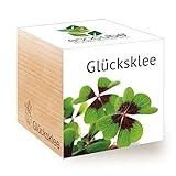 Feel Green 296275 Ecocube Glücksklee, Nachhaltige Geschenkidee (100% Eco Friendly), Grow Your Own/Anzuchtset, Pflanzen Im Holzwürfel, Made in Austria, natural