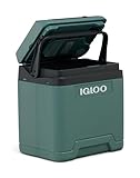 IGLOO elektrische Kühlbox IE27 für Auto und Steckdose, 27 L, 12V und 230V