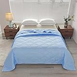 2025 Neu Kühldecke Bettdecke Ohne Bezug, 100x150 cm Kühldecke Bett Leichte Sommerdecke Kühlende Decke 4 Jahreszeiten Bettdecke, Kühlere Faser Sommerkühldecke Geschenke für Frauen Und Männer