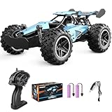 Pmgud Ferngesteuertes Auto, 2,4 GHz 1:18 Proportional 2WD 20+ km/h Hobby Offroad Monster RC Truck, wasserdichte RC Truggy RTR Geländegängig Spielzeug-blau
