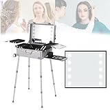 YXZQLOZ Rollendes Make-up-Zugetui mit 10 beleuchteten Spiegeln, professioneller Protable-Trolley Salon Station, großes Kosmetik-Organizer (Silver)