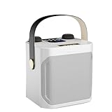 Kleagary High Power Karaoke Bluetooth Lautsprecher Tragbarer 360 Stereo Surround Wasserdicht Wireless Subwoofer mit Dual Mikrofon B