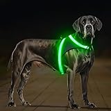 ChalkLit LED Leuchtendes Hundegeschirr USB Wiederaufladbares Vollständig Beleuchtetes Hundegeschirr Leuchtet Im Dunkeln für Nachtspaziergänge Sicherheitsweste, mittelgroße große Hunde (Grün, L)