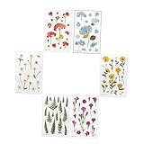 Parliky 6 Blätter Teiliges DIY Scrapbook Aufkleber aus Hochwertigem Pet Selbstklebend Transparente Blumenmotive für Journaling Tagebuch Fotoalbum und Kreative Zufällige Zufällige Farbe