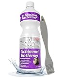 Ricostar Schimmelentferner mit Pinsel 750 ml – Reinigungsmittel zur Entfernung von Schimmelverfärbungen – Mit Aktivchlor – Zur Anwendung auf Wand, Fugen, Fenstern, Bad & Dusche