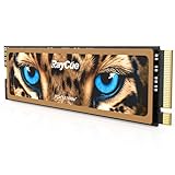 RayCue 4TB NVMe M.2 SSD für PS5 mit Kühlkörper, bis zu 7450MB/s, PCIe 4.0 M.2 2280 Gaming SSD, geeignet für PlayStation 5 Speichererweiterung, Spielbegeisterte, IT-Profis