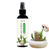 100ml Brasilianisches Holzpflanzenfutter, Pflanzendünger aus Brasilianischem Holz, Brasilianisches Glücksholz-Pflanzenfutter, Zimmerpflanzendünger, Nährstoffe für Pflanzen