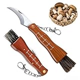 XIKTTK Pilzmesser mit Bürste 21CM, Schwammerlmesser mit Pinsel, Pilzmesser mit Bürste und Skala, Holzgriff Pilzmesser, Pilz Taschenmesser Aus Rostfreiem Edelstahl, Geschenke für Pilzsammler
