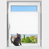 Plissee Klemmfix ohne Bohren mit Klemmfix， (Weiß, B35cm x H80cm) Faltrollo Plisseerollo Jalousie für Tür & Fenster Blickdicht Sichtschutz Sonnenschutz Fertifplissee Rollo