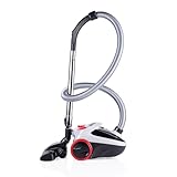 Dirt Devil Staubsauger mit Beutel DD2001 - Staubsaugerbeutel 2.0L - Bodenstaubsauger 800W - mit Kombibürste und Fugendüse - 7.5M Reichweite - Bodenstaubsauger mit beutel 3.3KG - HEPA 10 Filter - Grau