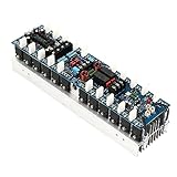 Masslla 1000Wx2 Hochleistungs-Verstärkerplatine DIY HiFi Professioneller Bühnenverstärker Audio mit Schaltungsschutz