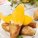 yacon, zimmer, hochbeet balkon, garten, gewächshaus exotische, bio, 10samen