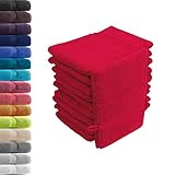 10er Set Waschhandschuhe Waschlappen Rot 16x21 cm | 100% Baumwolle Frottier | Oeko-TEX® Standard 100 | Premium Qualität 500 g/m²
