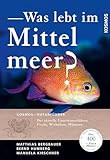 Was lebt im Mittelmeer?: Der aktuelle Unterwasserführer: Fische, Wirbellose, Pflanzen mit über 400 Arten