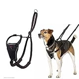 HALTI No Pull Anti-Zug Geschirr, Größe Klein - Verhindert, dass Ihr Hund an der Leine zieht, Gepolsterter Brust- und Beingurt, Reflektierendes Gurtmaterial, Einfache Anpassung und Benutzung
