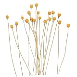 ERINGOGO 1 Satz Aromatherapie-Rattan Schilf Stabdiffusoren Diffusorblumen Lavendel Stick-diffusor Duftstäbchen Für Ätherische Öle Öldiffusor Nachfüllen Blumenöl-diffusor Hölzern 20 Stück