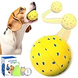 TGFIX ETPU Interaktiver Spielball für Hunde mit 3 Spielmodi IPX7 Aufbewahrungstasche, Hundeball Elektrisch Hundespielzeug Unzerstörbar, Selbstrollender Ball Hund Bewegt Sich mit LED-Lichtern (Geld)
