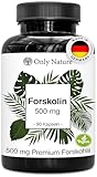 Forskolin 500 mg – 90 Kapseln – Pflanzliche Unterstützung – Hochdosiert mit 20 % Forskolin – Vegan, Made in Germany & laborgeprüft - Forskolin hochdosiert Blase