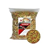 Koi Herdecke Premium Teich Sticks 10L/1,3Kg – Teichfutter für Koi & Goldfische – Fördert gesundes Wachstum & kräftige Farben – Leicht verdaulich – Klares Wasser für Teichfische