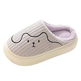 2026 Damen-Hausschuhe, niedliches Zuhause, rutschfest, für vier Jahreszeiten, bunt, Violett (Violett, 6)