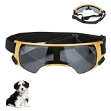 Sommer Schneebrille, Sonnenbrille für Kleine Hunde, Augenschutz Brille Windschutzbrille,UV-Schutz Hunde Sonnenbrillen,Beschlagfrei,für Motorrad Hundefahrradkorb Cabrio (Gold)