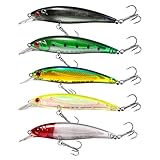 iUeeQKoo Hecht Köder,Kunstköder Wobbler Set,Angelzubehör,Fisch Köder Swimbait lebensechter für Zander Barsch Forellen, Angel köder für Süß und Salzwasser,Raubfisch,Angeln Geschenk (5, C)