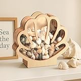 Rhdekoein Muschel Display Box aus Holz mit Acryl – Aufbewahrungsbox für kleine Muscheln, Seeglas, kleine Seesterne & Haifischzähne – Sammlerbox & Deko – Geschenk zu Weihnachten oder Geburtstag