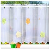 heimtexland ® Scheibengardine Voile Stickerei Blumen Deko Gardine Transparent Bunt Bestickt Fensterdekoration Bistrogardine Bordüre Typ823 HxB 45 x 118 cm