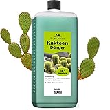 Konfitee Kakteen Dünger Flora Boost 500ml I Für bis zu 100L Gießwasser I Für Kakteen & andere Sukkulenten Pflanzen I Flüssiger Blatt- & Wurzeldünger I 100% natürlicher Pflanzendünger