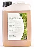 Brandling Ackerschachtelhalmsud/Ackerschachtelhalmjauche (3Liter)