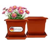2er Set Blumentopf Gross XXL 48cm, Blumentopf mit Untersetzer, Pflanzkübel Groß Außen, Blumenkübel Pflanzentopf Kunststoff Terracotta, Pflanzkübel Pflanztöpfe Blumentöpfe, Model:Mila Made in DE