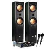 Evidence Acoustics Set HiFi/Heimkino, 1000 W PMPO, Lautsprecher EA-800-PG, Stereo-Verstärker 100 W, USB MP3 SD Bluetooth FM, 2 Karaoke-Mikrofone