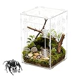 Terrarium Für Springspinnen | Acryl-Terrarium | Hergestellt Aus Acrylglas, Geeignet Für Schlangen, Schildkröten, Geckos, Einsiedlerkrebse, Reptilien, Fische Und Landschildkröten