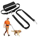 Joggingleine Hunde, Freihändige Hundeleine mit Bauchgurt – Verstellbare Laufleine für Mittelgroße & Große Hunde bis 50 kg, Bungee & Dual Griffe zum Joggen, Walken, Wandern