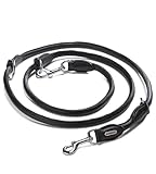 Jack & Russell Premium Leder Hundeleine 2,0m mit Edelstahl Karabiner - Hunde Lederleine mehrfach verstellbar – Rund-Leine, Führleine Davy (Schwarz)