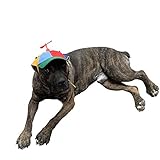 GEANBAYE Hundehüte mit lustigem Propeller, Größe und Seil, doppelte Anpassung, Haustierhüte für kleine, mittlere und große Hunde (irisierend)