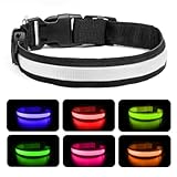 Nepfaivy Leuchthalsband Hund USB Aufladbar - Hundehalsband Leuchtend mit Verstellbarer Länge für Mittelgroße bis Große Hunde, LED Halsband Hund 6 Farbwechsel für Nacht Sicherheit, (Mehrfarbig-S)