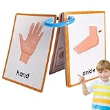 Huayeex Körperteile-Taschenkarte, Körperteile-Lernkartei,Englische Karteikarte Körperteile Taschenkarte - Vokabel-Wörter-Flashcard, pädagogisches Lern-Flashcard für Kleinkinder