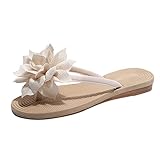 Briskorry Damen Sandalen Mode Flip Flops Flache Zehentrenner Peep Toe Hausschuhe Blumen Slip On Slippers Strandschuhe Frühjahr und Sommer Strandsandalen Urlaub Römersandalen