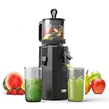 WETIE Entsafter - Slow Juicer mit 120 mm (4.7 Zoll) XXL-Einfüllschacht für ganze Früchte und Gemüse, Kaltpress-Entsafter, 99% Saftausbeute, Leicht zu Reinigen, BPA-Frei, inkl. 2 Gläsern & Rezeptbuch