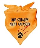 Hunde Dreiecks Halstuch (Fb: gelb) (Gr. 1 (55 cm)) Nur schauen Nicht anfassen