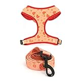 No Pull Hundegeschirr mit Leine Set Verstellbare Welpengeschirr Atmungsaktives Netzgewebe Gepolstert Haustier Outdoor Walking Training Supplies für Mittlere Kleine Haustiere (L, Erdbeere)