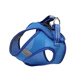 Yardwe Brustgurt für Katzen Katzengeschirr Katzenhalsbänder Hund Katzentransporter Käfig Kätzchen-Kragen Katzenhalsband Westen Katze und Haustier Geschirr Brustgurt für Haustiere Blue