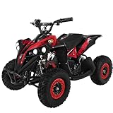 Actionbikes Motors Kinder Quad Elektro ATV Reneblade | 𝟒𝟖 Volt 𝟭𝟬𝟬𝟬 Watt Motor bis 𝟐𝟓 km/h - Kinderquad - Pocket Quad - Miniquad - Safety Fußschalter - Für Kinder ab 6 Jahren (Schwarz/Rot)