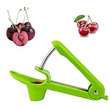 Kirschentkerner,Kirschkernentferner,Edelstahl Entkerner Kirschen,Kirschentsteiner Obstentkerner Cherry Corer Entferner,Hand Fruit Entkernen,Kirschenentkerner,für Obst,Kirsche Obstbeere (Grün)