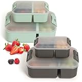 Hausfelder Brotdosen Lunchbox 4er Set, Lunchbox mit Fächern, Bento Box für Erwachsene und Kinder (SpaceBlack und MintGreen, 2 x Groß 2 x Klein)