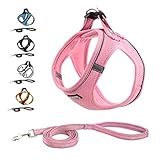 Suredoo Hundegeschirr mit Leine Anti Zug Geschirr Reflektierend Brustgeschirr für Kleine Hunde, Haustiere, Welpen, Katzen (S, Pink)