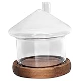 CHILDWEET 1 Satz Glasabdeckung Tortenständer Mit Deckel Glockenanzeige Mini-cupcake-ständer Kuppelglas Dessertrosenpflanze Etagere Mit Kuppel Mini-kuchenbehälter Besteck Geist Holz
