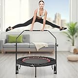 LIFERUN Fitness Trampolin Indoor Ø101cm,Tragfähigkeit 150 kg,Workout Rebounder,mit 3 Verstellbare Handgriffstufen,mini Trampoline für Erwachsene,Rot